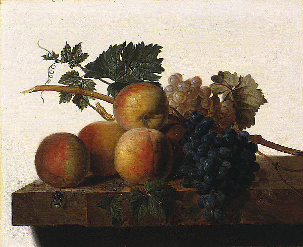 Still Life